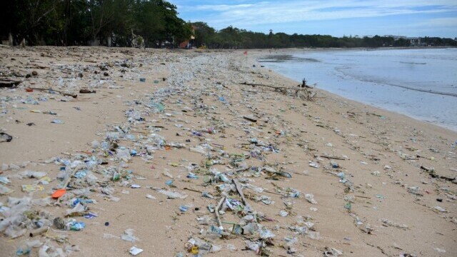 Plajele din Bali sunt „sufocate” de gunoaie. Autoritățile se luptă cu tone de deșeuri. GALERIE FOTO - Imaginea 4