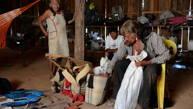 Indigenii amazonieni folosesc o fiertură din coaja unei liane pentru a se apăra de Covid-19 - Imaginea 11