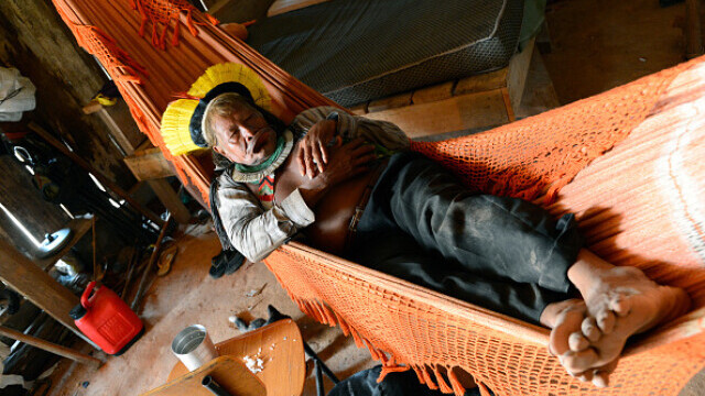 Indigenii amazonieni folosesc o fiertură din coaja unei liane pentru a se apăra de Covid-19 - Imaginea 2