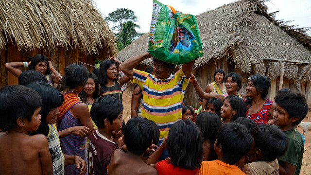 Indigenii amazonieni folosesc o fiertură din coaja unei liane pentru a se apăra de Covid-19 - Imaginea 1
