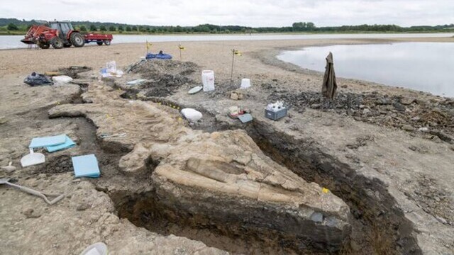 Arheologii din Marea Britanie au făcut o descoperire istorică: un „dragon de mare” cu o lungime de 30 de metri - Imaginea 2