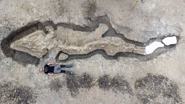 Arheologii din Marea Britanie au făcut o descoperire istorică: un „dragon de mare” cu o lungime de 30 de metri - Imaginea 4