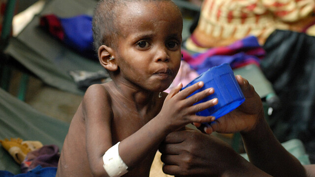 Catastrofa umanitara. Tara unde ONU declara foametea pentru prima oara in ultimii 30 de ani - Imaginea 8