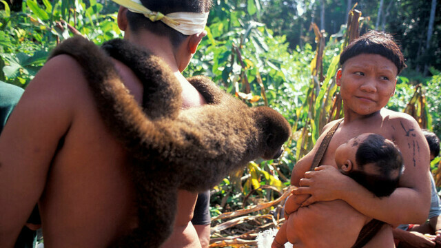 Noi detalii despre dispariția jurnalistului care vizita un trib din Amazon. Ce grupare ar fi implicată - Imaginea 11