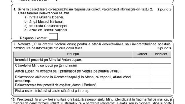 Subiecte și bareme la Evaluare Națională 2022 Română. Ce le-a picat elevilor la Limba Română - Imaginea 18