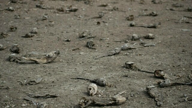 „Ne rugăm la Dumnezeu să ne dea apă”. Un lac din Chile s-a transformat într-un deșert. GALERIE FOTO - Imaginea 5