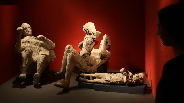 O intreaga familie, pietrificata pentru eternitate, expusa la Londra la 2000 de ani de la moarte - Imaginea 1