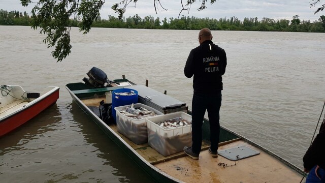 30 de tone de peşte confiscat după sute de percheziții în România și Europa. Ce s-a descoperit - Imaginea 14