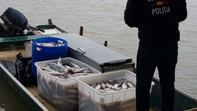 30 de tone de peşte confiscat după sute de percheziții în România și Europa. Ce s-a descoperit - Imaginea 12