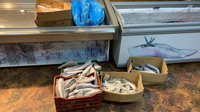 30 de tone de peşte confiscat după sute de percheziții în România și Europa. Ce s-a descoperit - Imaginea 7