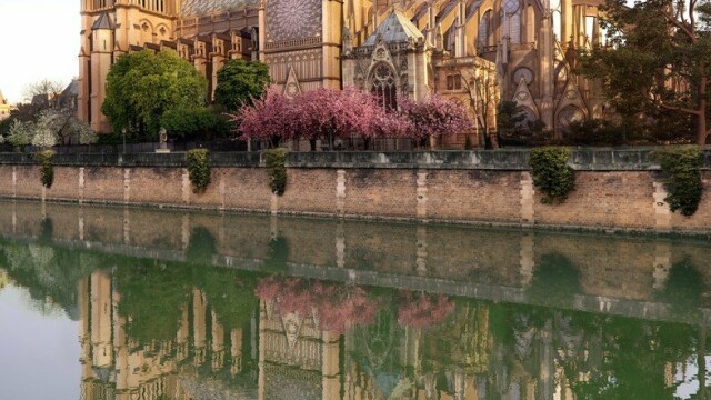 Piscină pe acoperișul Catedralei Notre Dame. Reacția francezilor. GALERIE FOTO - Imaginea 2