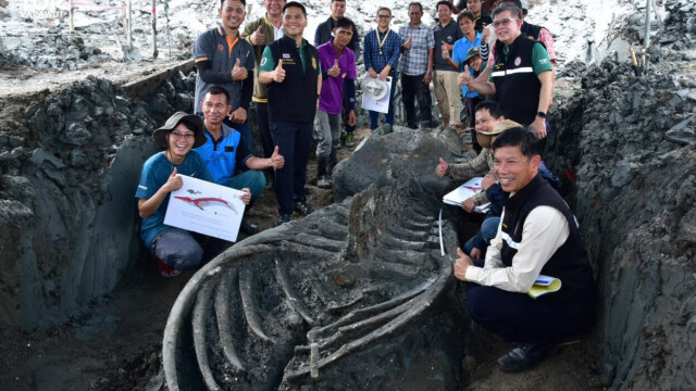 Descoperire rară în Thailanda. Datează de peste 3.000 de ani. GALERIE FOTO - Imaginea 8