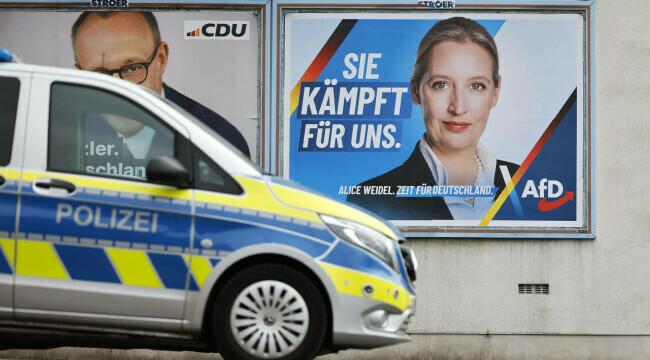 Alice Weidel, liderul AfD