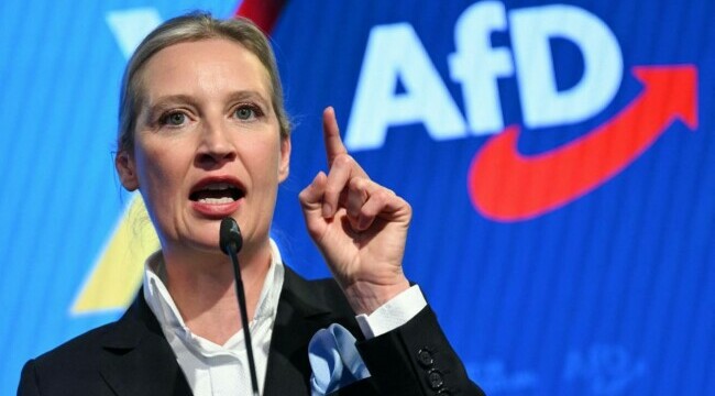 alice weidel