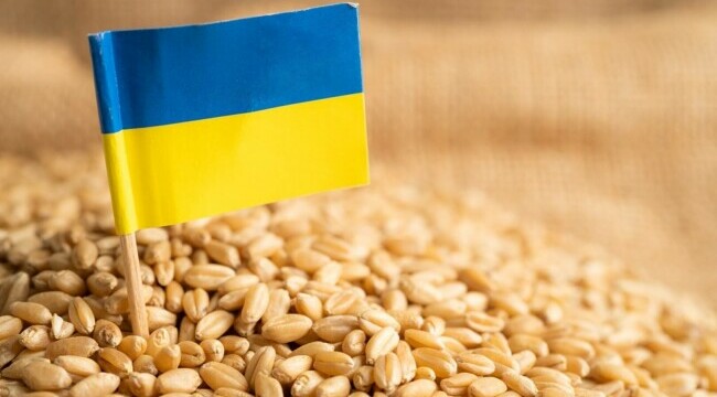 Oficial: Rusia a furat cel puțin 400.000 de tone de cereale din Ucraina, după invazie