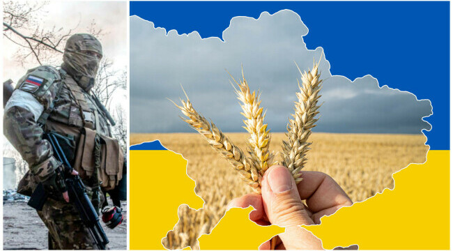 rusia, cereale ucraina