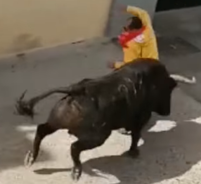 taurul datând un alt taur