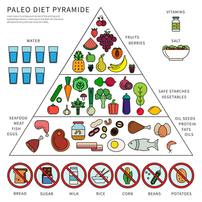 Dieta Paleo