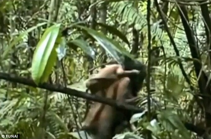 Imagini rare surprinse in jungla braziliana. Cercetatorii nu se asteptau la o astfel de intalnire