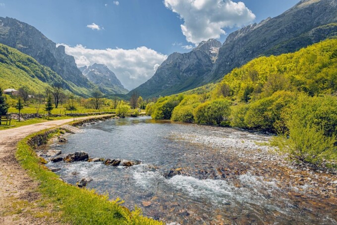 destinatii salbatice