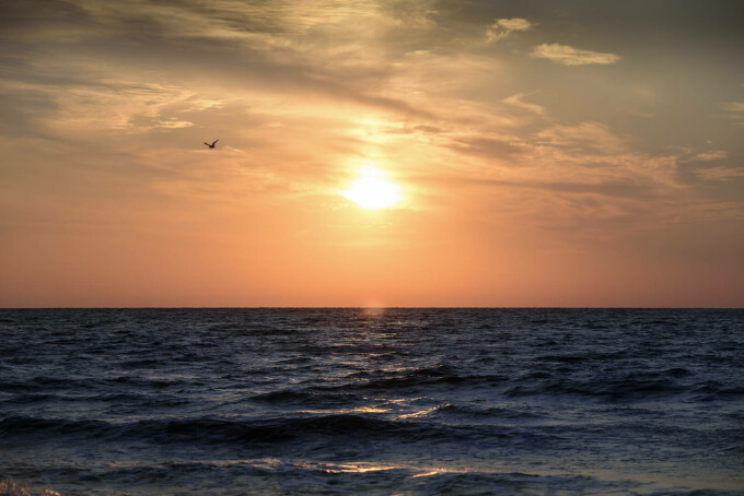 vadu si corbu - plahe romania