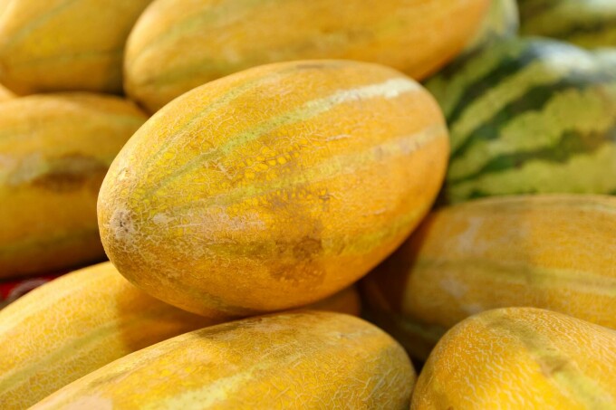 Pepene galben alungit