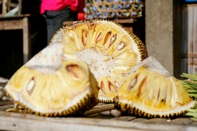 Jackfruit