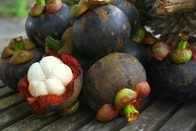 Mangostan