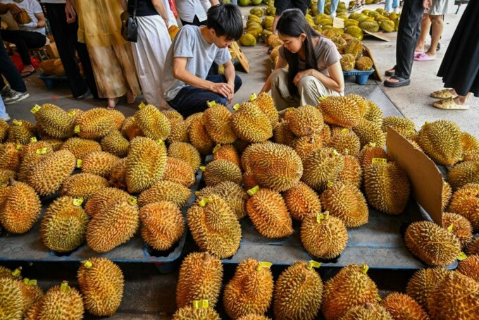durian