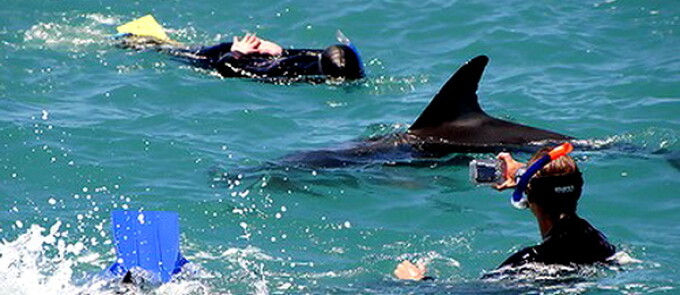 kaikoura kaikoura