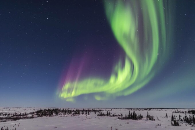 aurora boreala Churchill