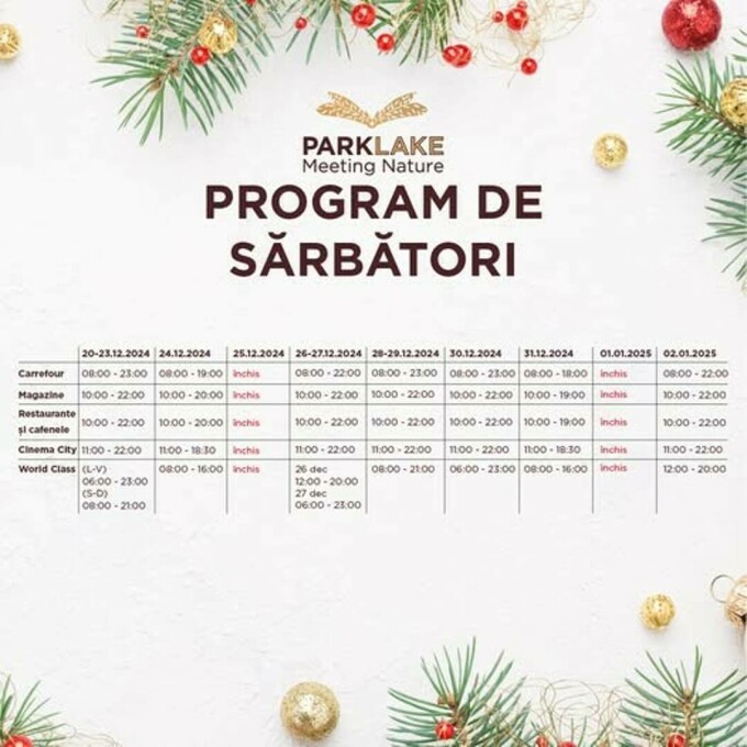 program mall-uri de Craciun