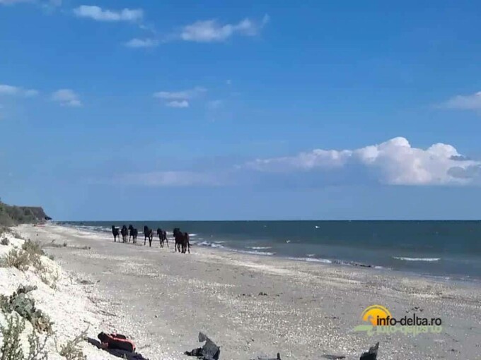 Plaje secrete Mara Neagra