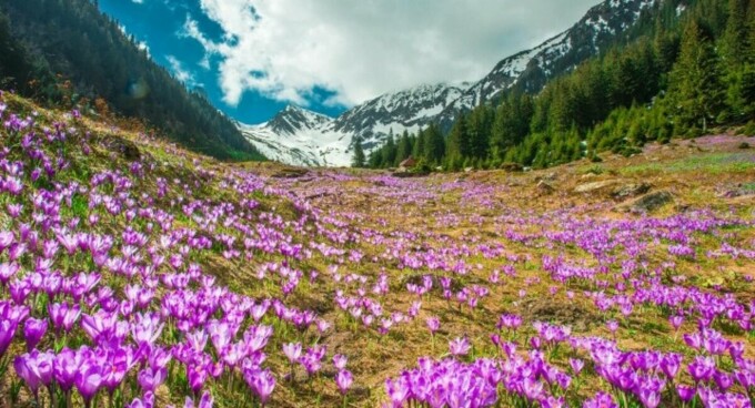 Destinatia anului brasov