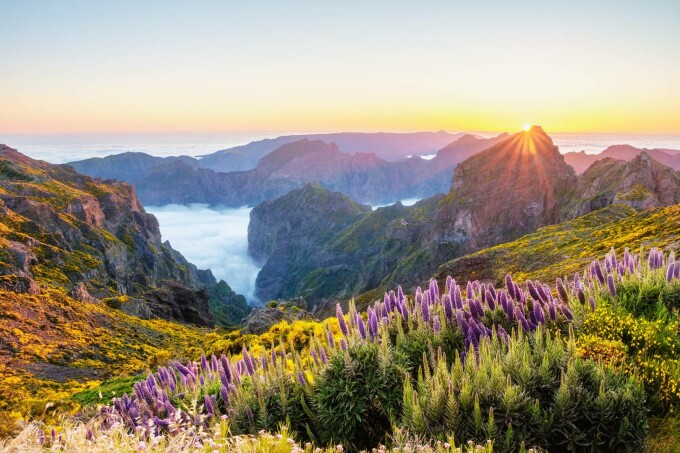 Pico do Arieiro
- Madeira