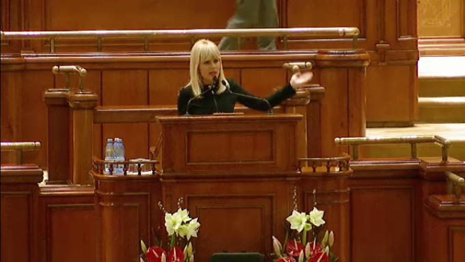 Elena Udrea, in plenul Parlamentului