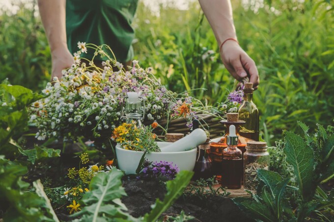 Afacere cu plante medicinale