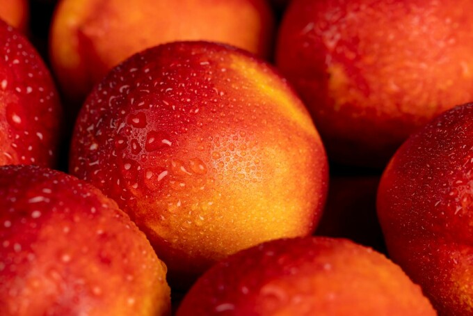 Nectarine