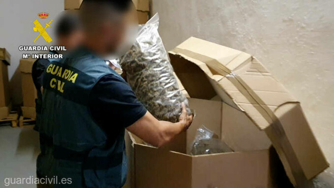 Poliţia spaniolă a anunţat sâmbătă capturarea a 32 de tone de muguri de canabis, „cea mai mare captură din această substanţă la nivel internaţional”, la finalul unei anchete care a dus la arestarea a 20 de persoane, potrivit AFP.