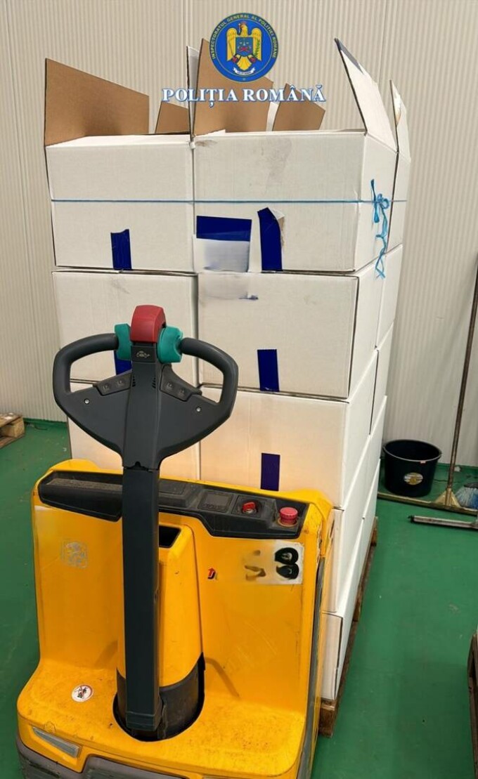 Evaziune trufe și fructe