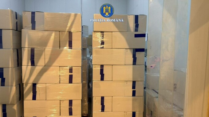 Evaziune trufe și fructe