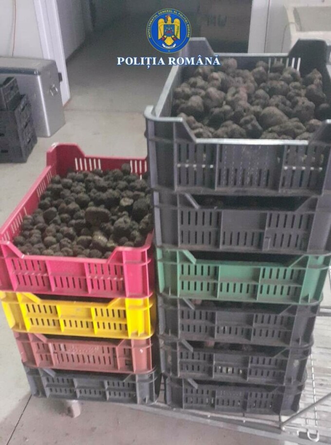 Evaziune trufe și fructe