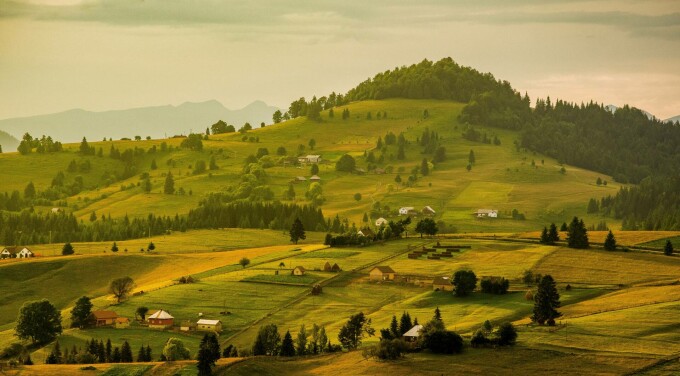 Bucovina