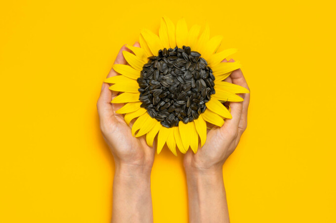 ulei de floarea soarelui