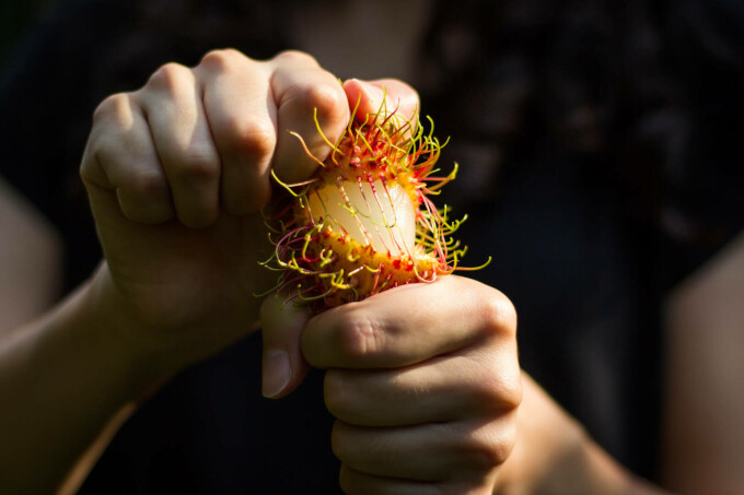 Rambutan