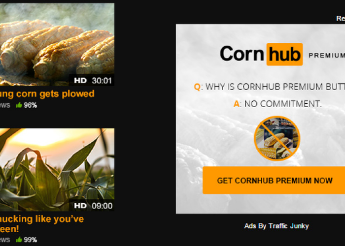 Ce s-a intamplat cu cel mai cunoscut site XXX de 1 aprilie. Farsa geniala :)