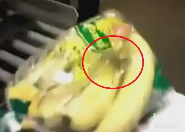 A vrut sa cumpere niste banane de la supermarket, dar s-a ingrozit cand a vazut punga. Ce a descoperit inauntru