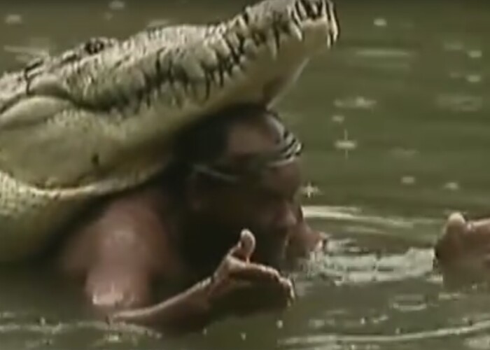 Un pescar a salvat un CROCODIL de la moarte! REACTIA INCREDIBILA a animalului de 6 metri cand a fost eliberat in salbaticie! VIDEO