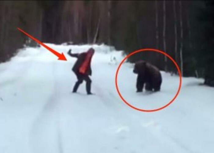 Barbatul si fiara. Un suedez iti arata cum sa te comporti in cazul in care esti atacat de urs. Reactia animalului e surprinzatoare
