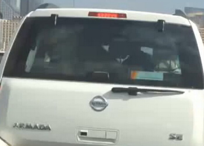 Why? Because it’s Dubai. Ce avea omul in masina! VIDEO